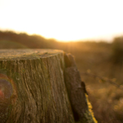 免费企业版的DDOS在线攻击平台