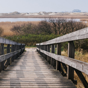 纯净版清爽的免费ddos网页端