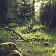 找个可信平台的DDOS在线攻击平台