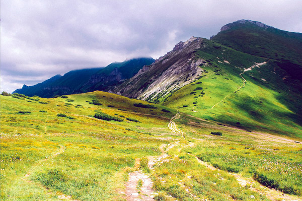 全天发货的免费ddos网页端