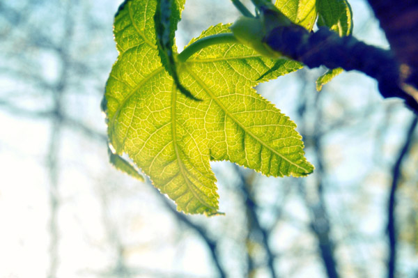 免费ddos在线攻击